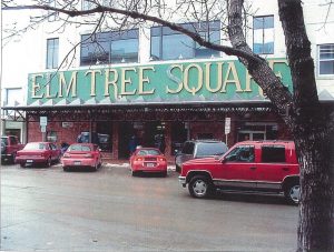 Elm Tree Square Design
