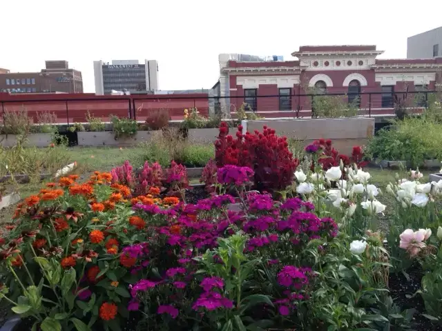 flowery-rooftop - Kilbourne Group